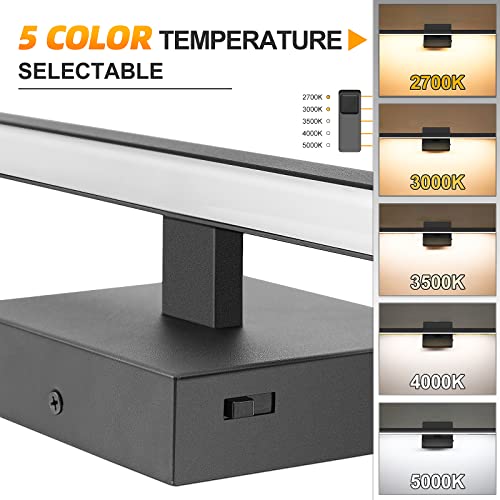 48 inch Black Bathroom Vanity Light