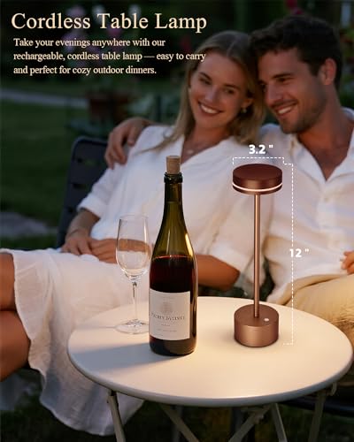 2 Pack LED Cordless Table Lamp Rechargeable (2 Count)