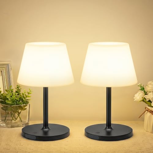 2 Pack Shower Lamp Waterproof (2 Count)