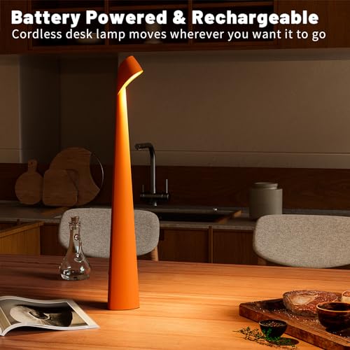 Cordless Rechargeable Reading Metal Table Lamp