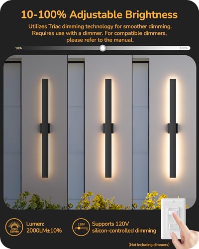 2 Pack Modern LED Outdoor Wall Lights (2 Count)