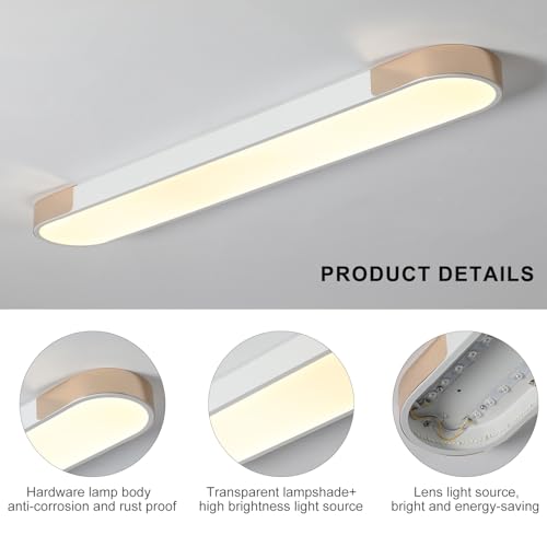 Modern LED Ceiling Light
