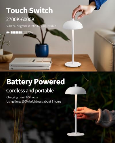 12" Cordless Table Lamps Set of 2 (2 Count)