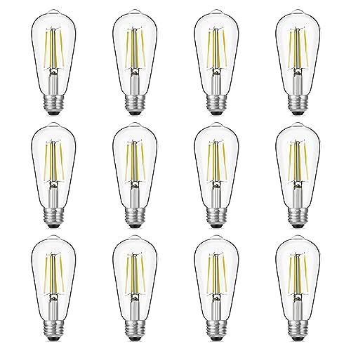 Dimmable Vintage LED Edison Bulbs (12 Count)