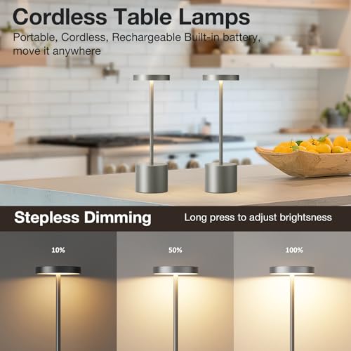Grey Rechargeable Cordless Lamp (2 Count)
