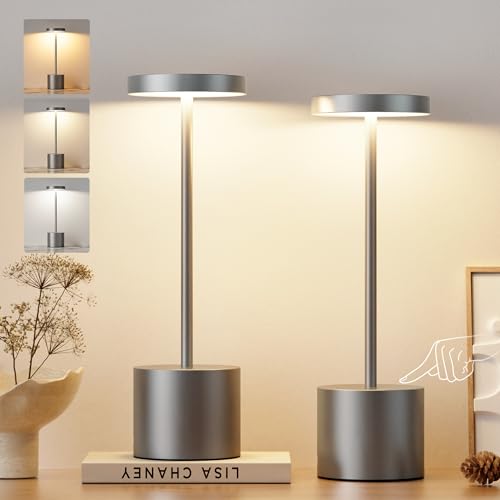 Grey Rechargeable Cordless Lamp (2 Count)