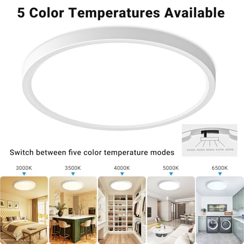 2 Pack LED Flush Mount Ceiling Light Fixture 12Inch 24W 2800LM