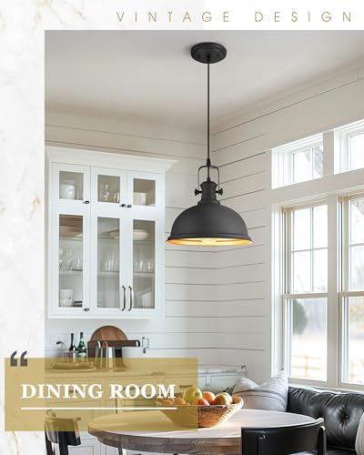 2 Pack Black Pendant Lights for Kitchen Island (2 Count)