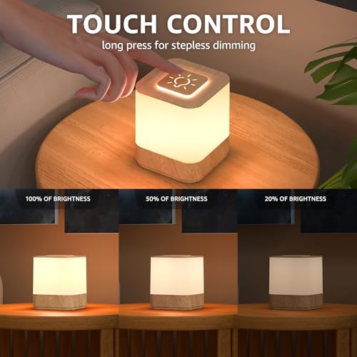 2 Pack Rechargeable Small Night Light Touch Dimmable Cordless Lamp (2 Count)