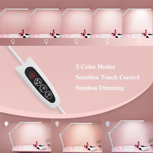 LED Desk Lamp