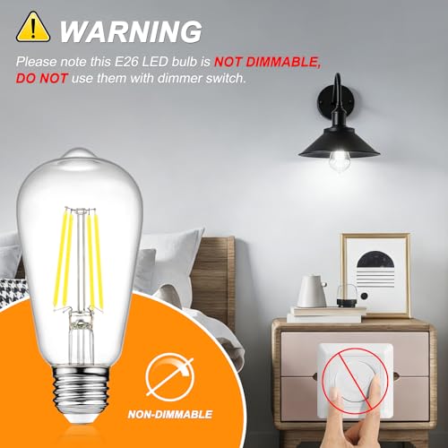 Vintage LED Edison Bulbs (12 Count)