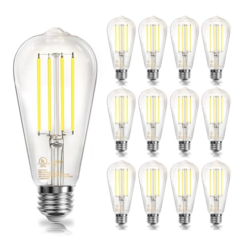 12 Pack Vintage LED Edison Bulbs (12 Count)