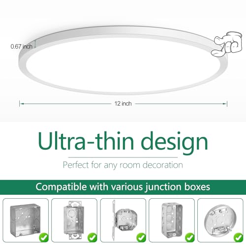12 Inch LED Flush Mount Ceiling Light Fixture