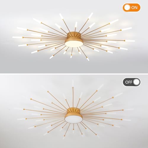 Modern Ceiling Light