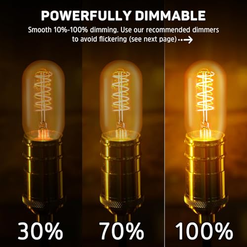 Vintage T45 Amber Edison Bulbs (4 Count)