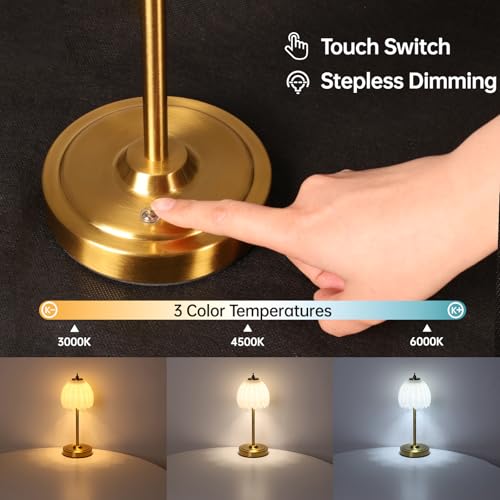 Tulip Table Lamp with 5000mAh Battery & Touch Control
