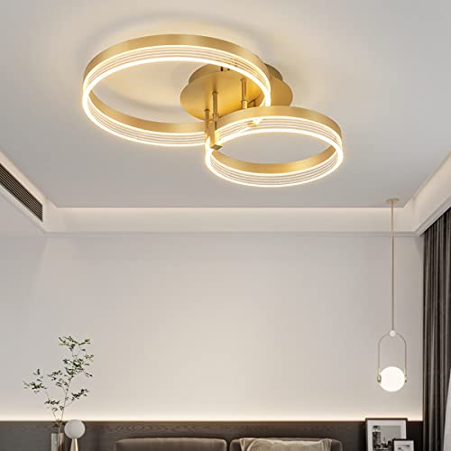 Chaners Ceiling Light Acrylic Ring Ceiling Light LED with Remote Control Dining Room Bedroom Lamp Living