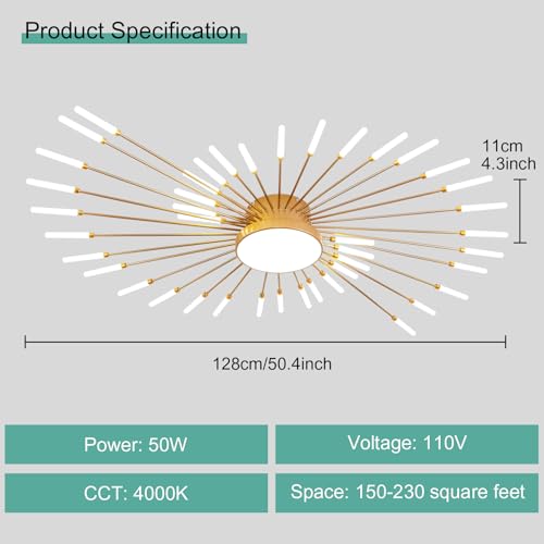 Modern Ceiling Light