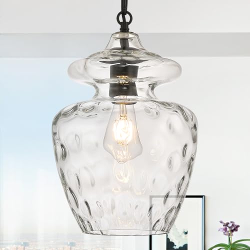 Farmhouse Black Glass Pendant Light