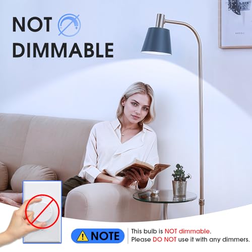 A19 LED Light Bulbs (24 Count)