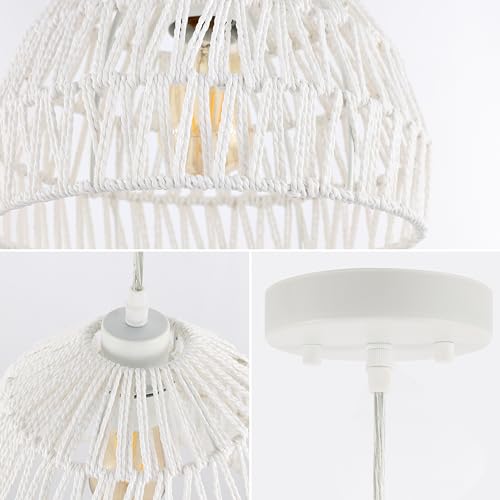 Campana 1 Light Pendant Dome Ceiling Lamp