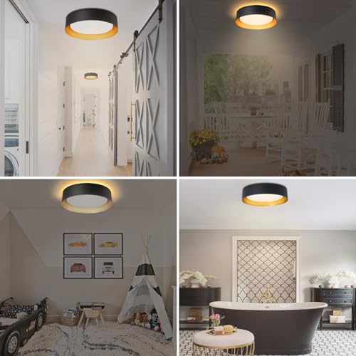 Flush Mount Ceiling Light with Remote & Night Light