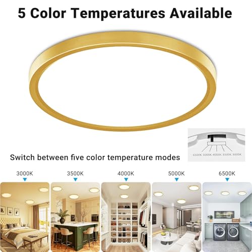 2 Pack LED Flush Mount Ceiling Light (2 Count)