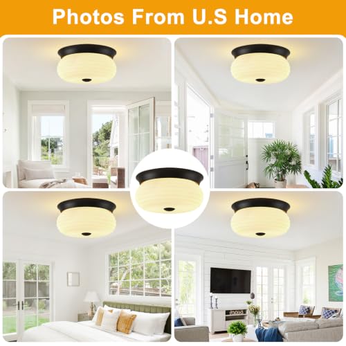 Black Flush Mount Ceiling Light Fixtures (Matte Black-Milk Glass(No Assembly Required))