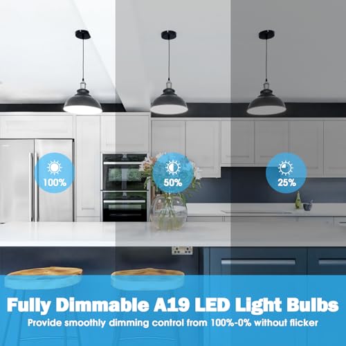A19 LED Light Bulb 60W Equivalent (30 Count)