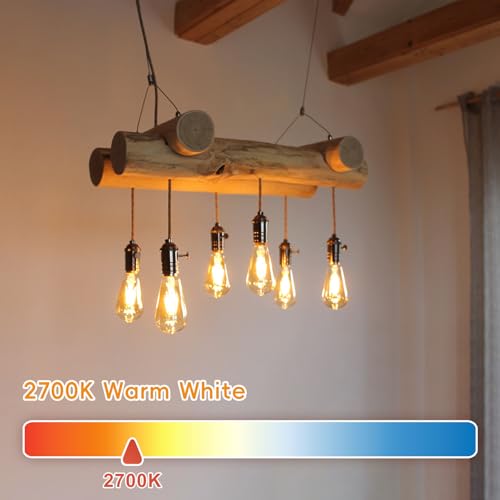 Edison Bulbs E26 LED Bulb 60 Watt Equivalent