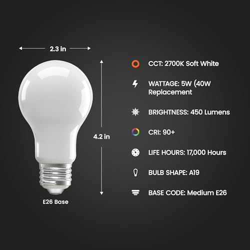 A19 LED Light Bulb (4 Count)