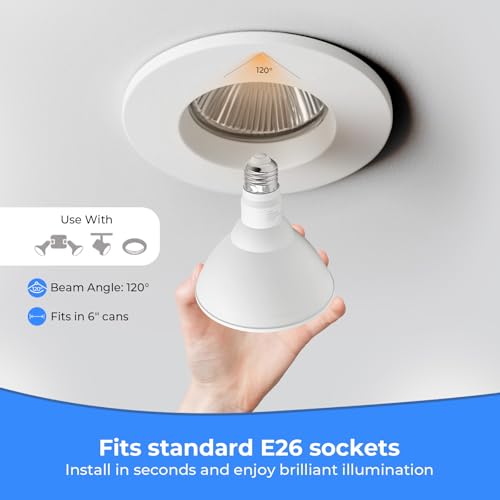 LED Flood Light Bulbs (6 Count)