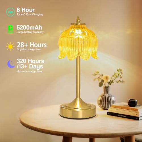 Cordless Table Lamp