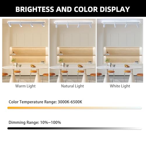 Modern LED Ceiling Light with 4 Spotlights