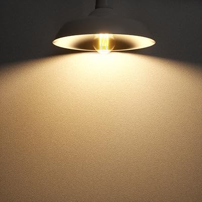 A19 Vintage LED Edison Bulbs