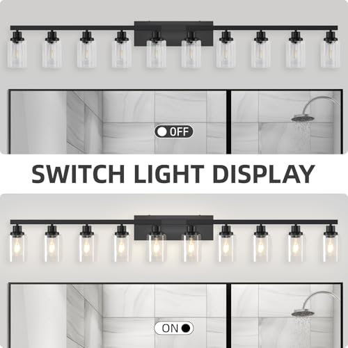 10 Light Vanity Light for Mirror Black Bathroom Light Fixtures 65in (10 Count)