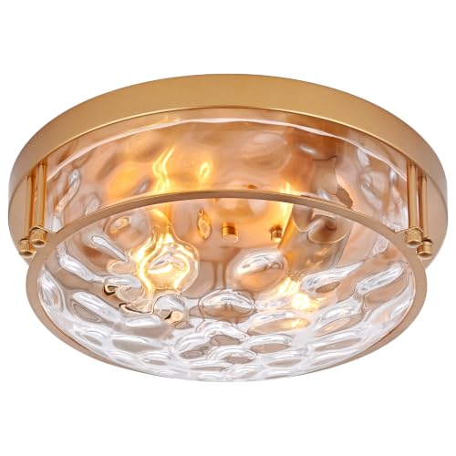 Gold 2 Light Ceiling Light Fixture with Hammered Glass