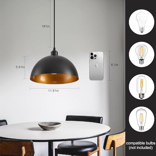 Plug in Pendant Light 2 Pack Industrial Hanging Lamp with Golden Finish Inside Black Vintage Pendant Lighting Fixtures with 15ft Cord On (2 Count)