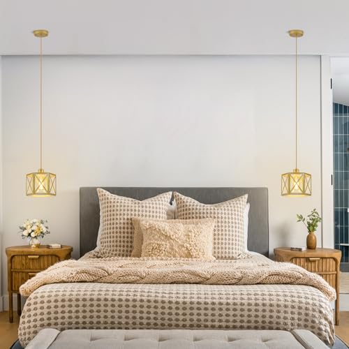 2 Pack Gold Pendant Lights (2 Count)