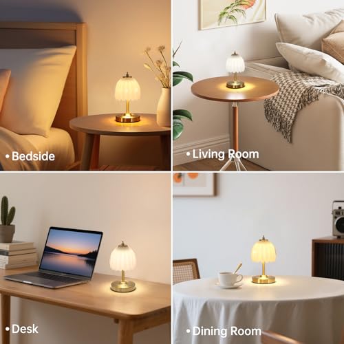 Set of 2 Tulip Table Lamp with 5200mAh Battery & Touch Control (2 Count)