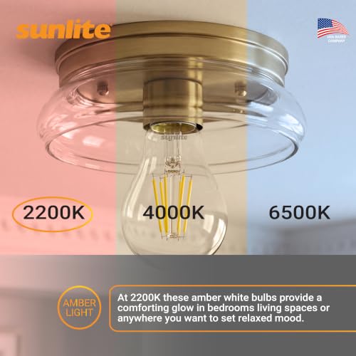 41613 LED Edison A19 Light Bulb (6 Count)