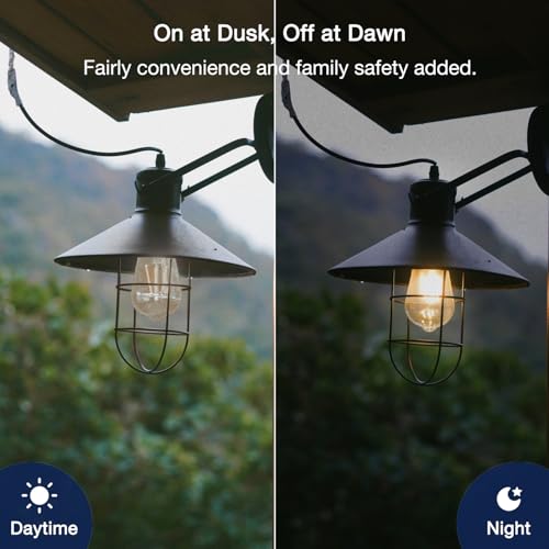 Dusk to Dawn Outdoor Sensor ST19 LED Light Bulb (4 Count)
