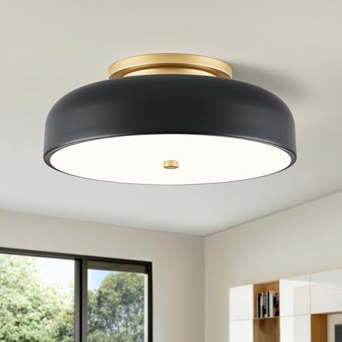 Dimmable LED Ceiling Light Fixture