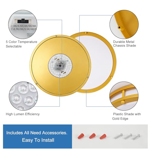 DLLT Flush Mount LED Ceiling Light (2 Count)