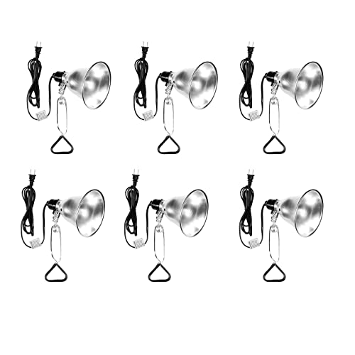 HIWKLTCLAMPLIGHTSX6V1 6 (6 Count)