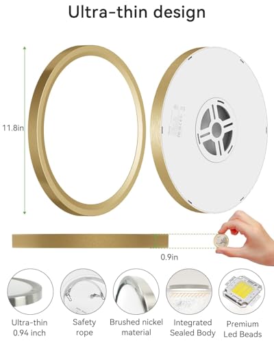 2Pack LED Ceiling Light Golden (2 Count)
