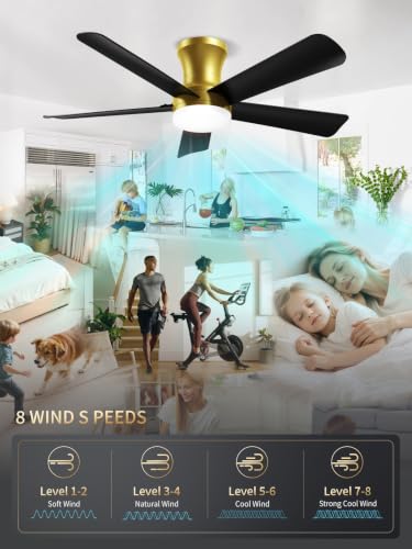 42 Inch Black Gold Low Profile Ceiling Fan with Light and Remote (Gold Black / 42 Inch)