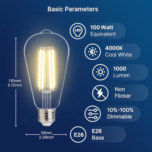 100W Equivalent LED Edison Bulbs (6 Count)