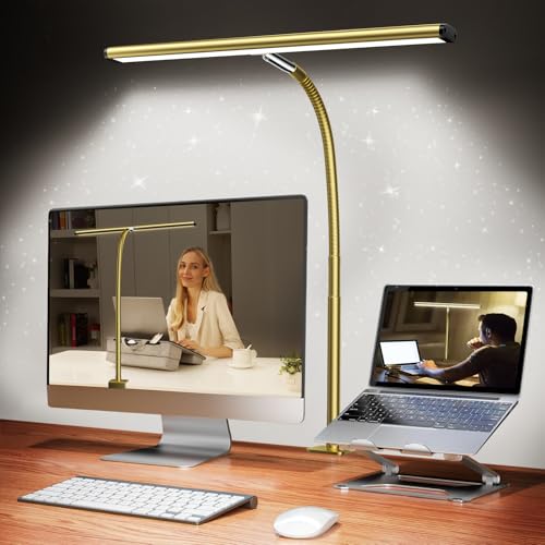 LED Desk Lamp with Clamp