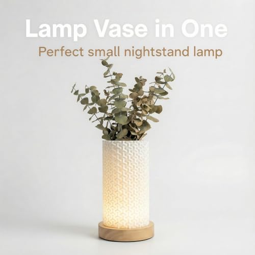 Small Bedside Lamp for Nightstand